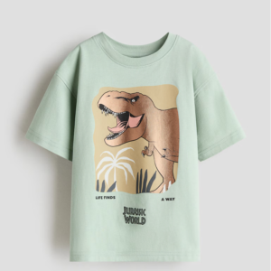 dinosaur t shirt for kids